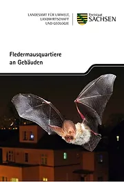 Fledermausquartiere an Gebäuden