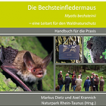 Die Bechsteinfledermaus – eine Leitart für den Waldnaturschutz