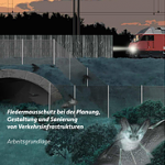 Fledermausschutz bei der Planung, Gestaltung und Sanierung von Verkehrsinfrastrukturen