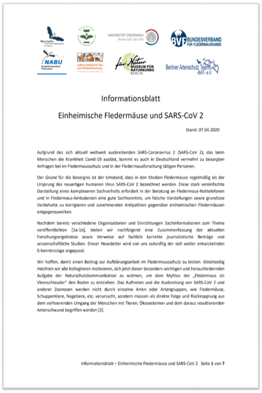 Informationsblatt Einheimische Fledermäuse und SARS-CoV 2