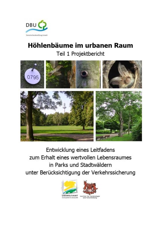 Höhlenbäume im urbanen Raum, Teil 1