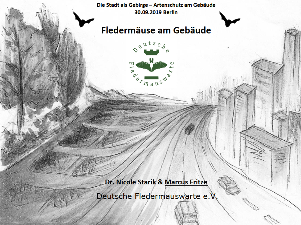 Fledermäuse am Gebäude (Vortrag)