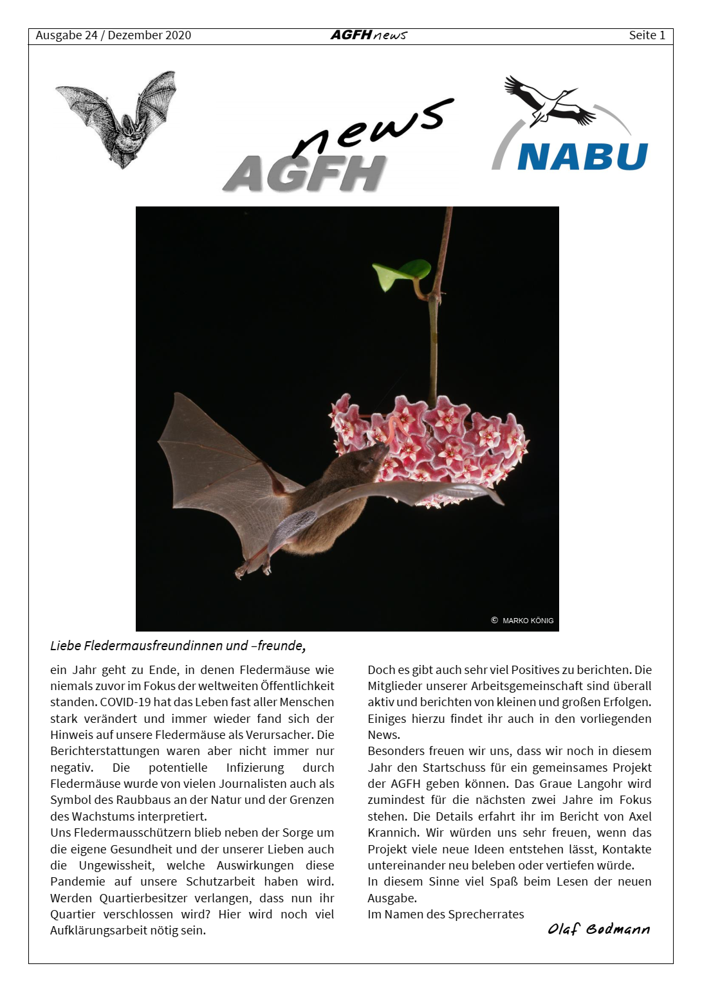 AGFH News (Ausgabe 24, Dezember 2020)