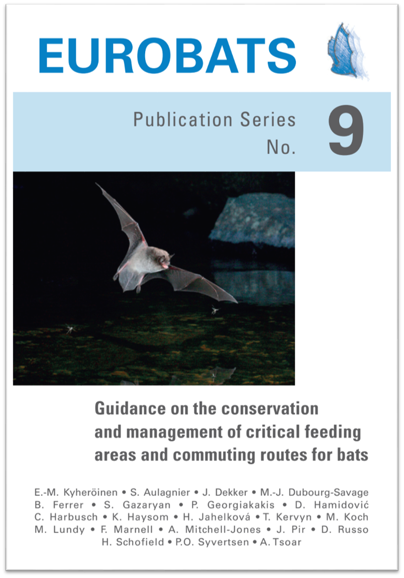 Guidance on the conservation and management of critical feeding areas and commuting routes for bats