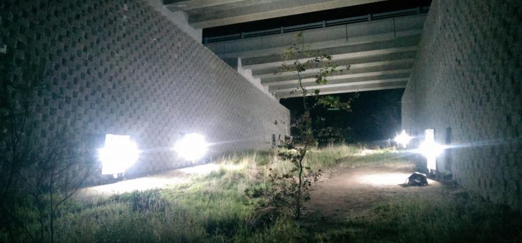 Artificial lighting reduces the use of wildlife-crossing structures for bats