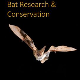Neue Ausgabe vom „Journal of Bat Research and Conservation“