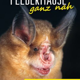 Fledermäuse ganz nah – neues Buch von Dr. Klaus Richarz erschienen Fledermäuse ganz nah – neues Buch von Dr. Klaus Richarz erschienen