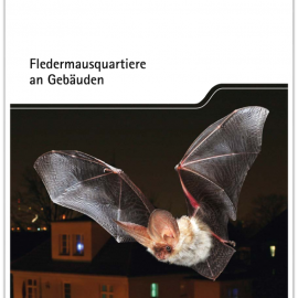 Fledermausquartiere an Gebäuden