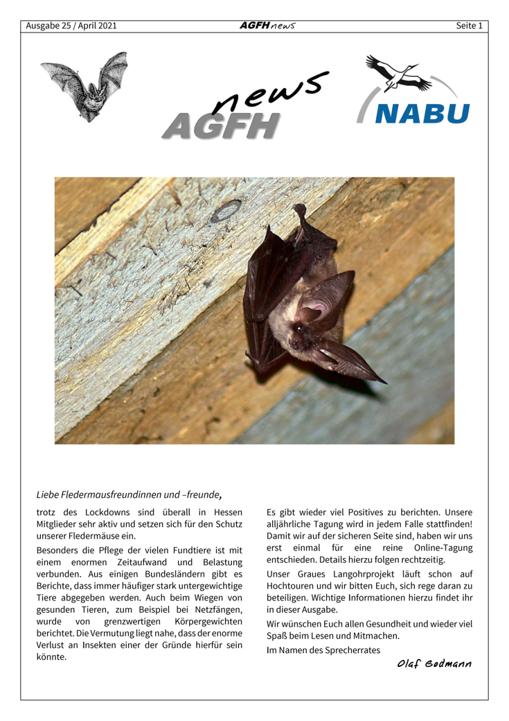 AGFH News (Ausgabe 25, April 2021)