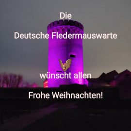 Frohe Weihnachten und einen gutes neues Jahr 2022!