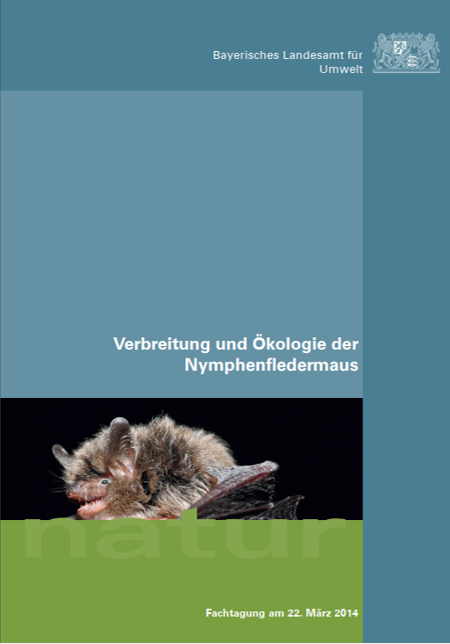 Verbreitung und Ökologie der Nymphenfledermaus
