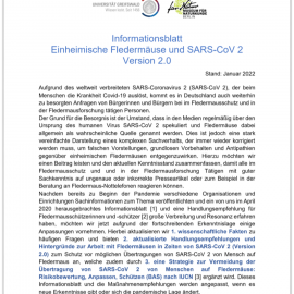 Informationen zu Fledermäusen und SARS-CoV 2 – Version 2.0 sowie Handlungsempfehlungen für Fledermauskundler