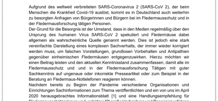 Informationen zu Fledermäusen und SARS-CoV 2 – Version 2.0 sowie Handlungsempfehlungen für Fledermauskundler
