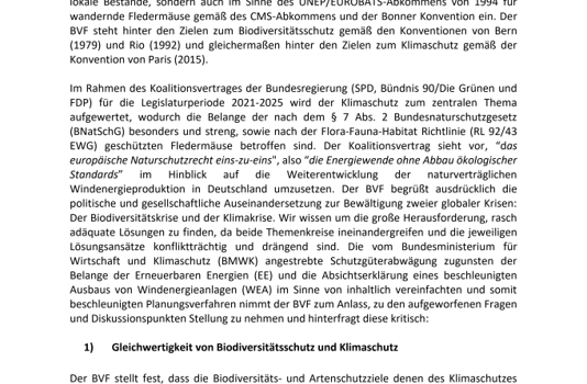 Federal Association for Bat Conservation Germany (BVF) questions plans of the new government with regard to the weighing of species protection in favor of wind energy