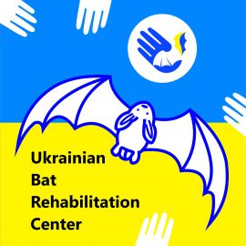 Bat friends stand together! Fundraiser for Ukrainian Bat Center