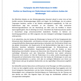 Fachpapier des NABU Bundesfachausschusses Fledermäuse zur Beachtung des Fledermausschutzes beim weiteren Ausbau der Windenergie