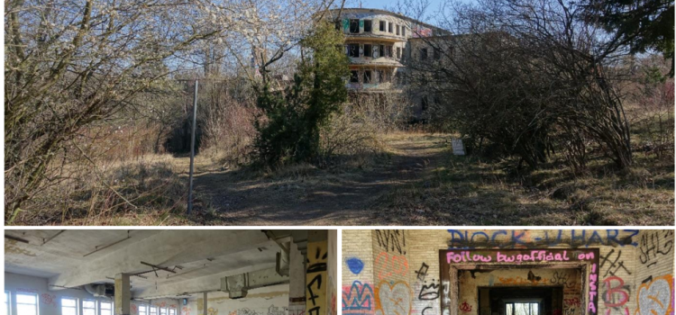 Lost Place Community discovers Bat Roosts