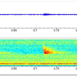 Automated bat call classification using deep convolutional neural networks