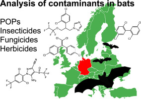 Analysis of pesticide and persistent organic pollutant residues in German bats