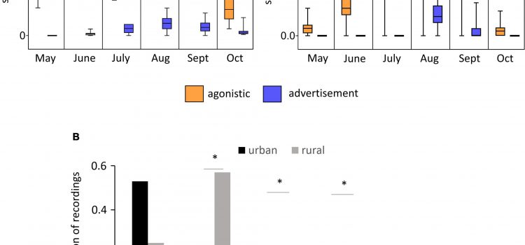 “Urban bats” call differently than “country bats”