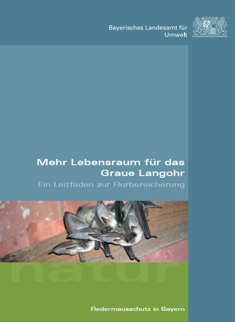 Mehr Lebensraum für das Graue Langohr – ein Leitfaden zur Flurbereicherung