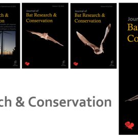 Neue Ausgabe vom Journal of Bat Research and Conservation 15 (1) 2022 erschienen