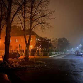 Lichtverschmutzung und Fledermausschutz – aktueller Kenntnisstand, Handlungsbedarf und Empfehlungen für die Praxis