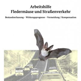 Arbeitshilfe Fledermäuse und Straßenverkehr: Bestandserfassung – Wirkungsprognose – Vermeidung / Kompensation