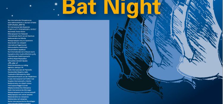 International Bat Nights