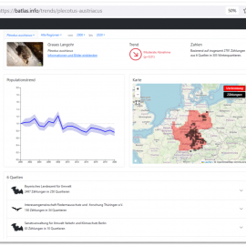 BATLAS – Automatic system for the analysis of bat population trends – Collaboration wanted