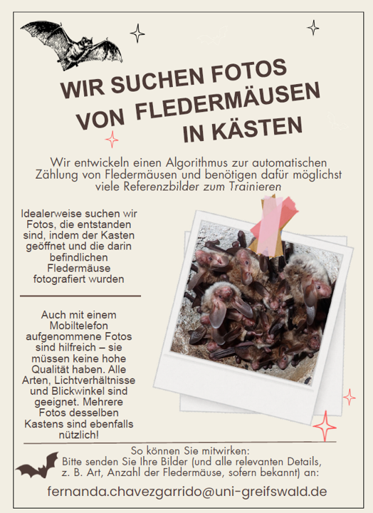 Photos from bat boxes wanted for AI project!