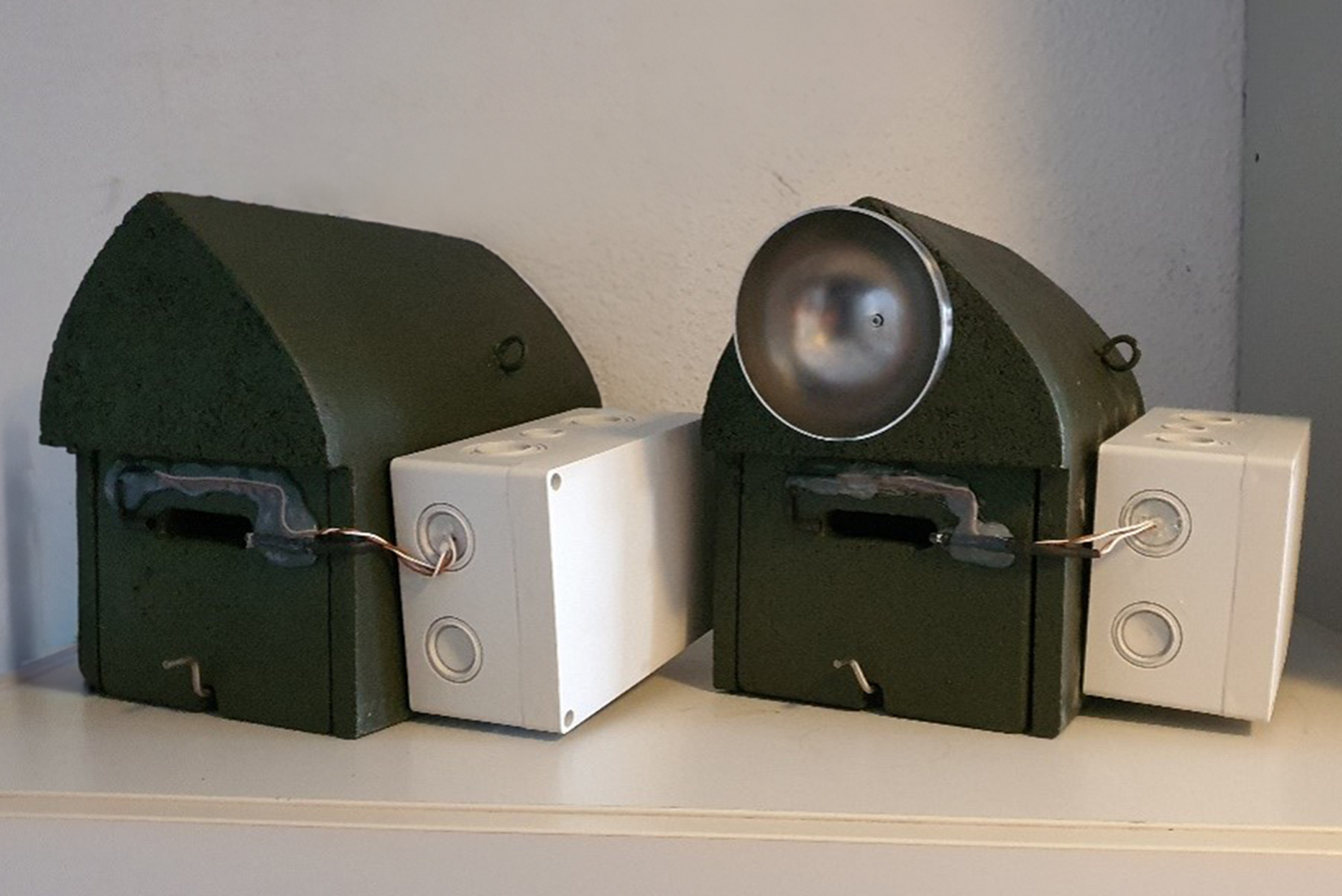 Bekanntes ist besser: Warum Fledermäuse neue Kästen oft ignorieren